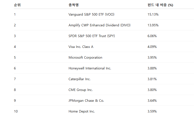 대표 편입 종목 TOP 10