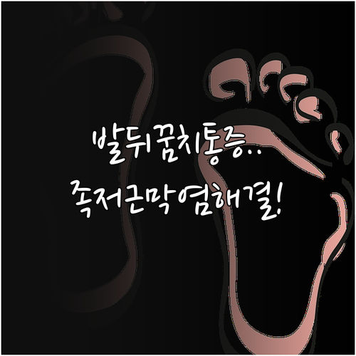 발뒤꿈치 통증 원인 족저근막염 증상 ..