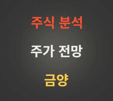 금양 주가 전망 분석 (12월3주)
