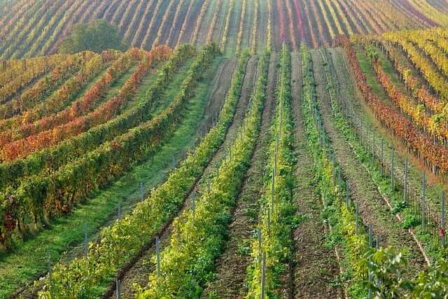 농지연금-가입조건-수령액계산-주의사항-2025