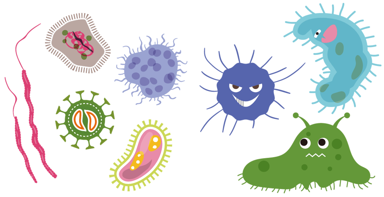 헤르페스 2형 증상