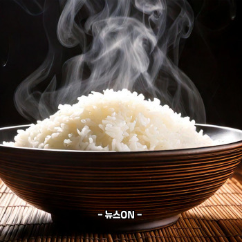 수능 아침에 좋은 음식