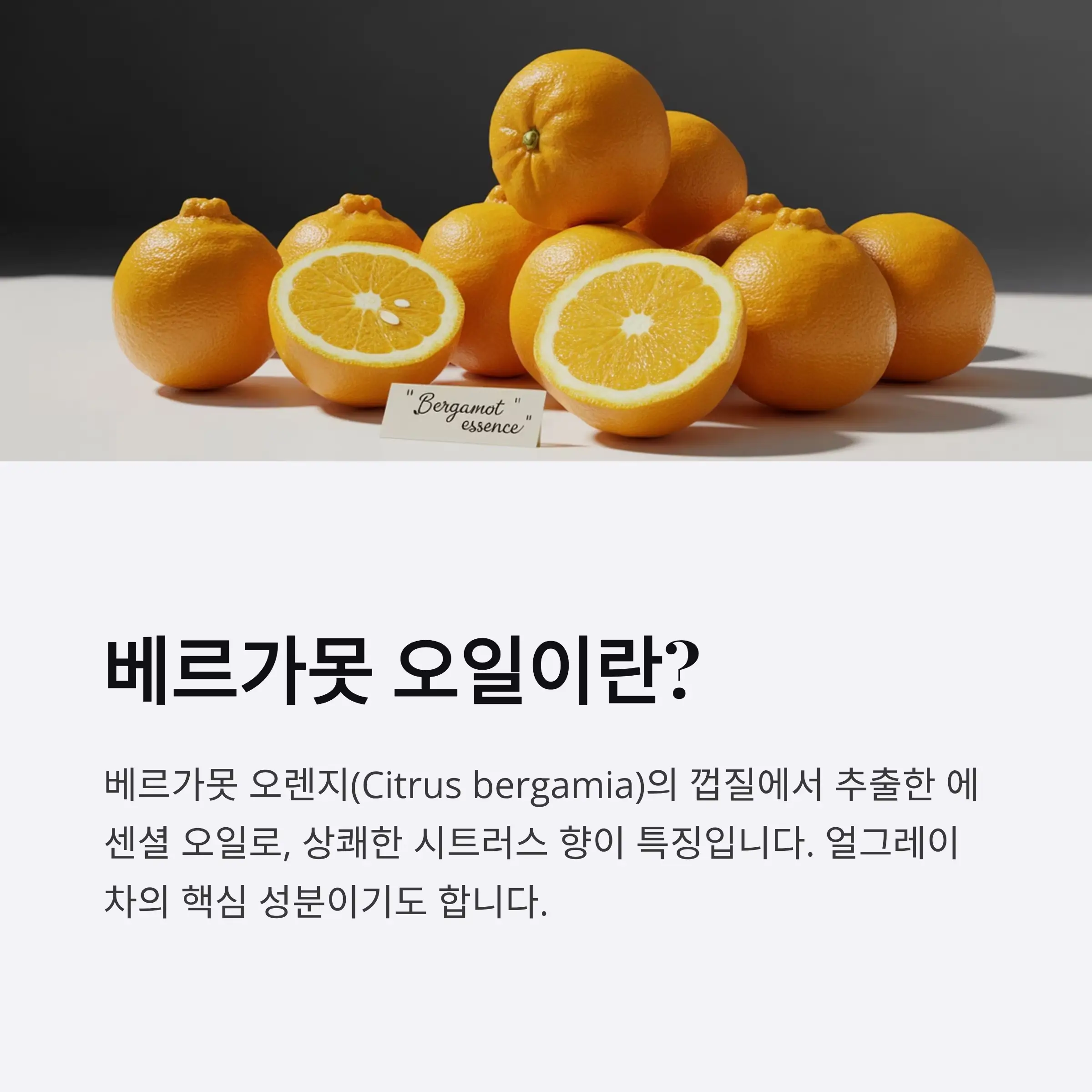 베르가못 오일이란