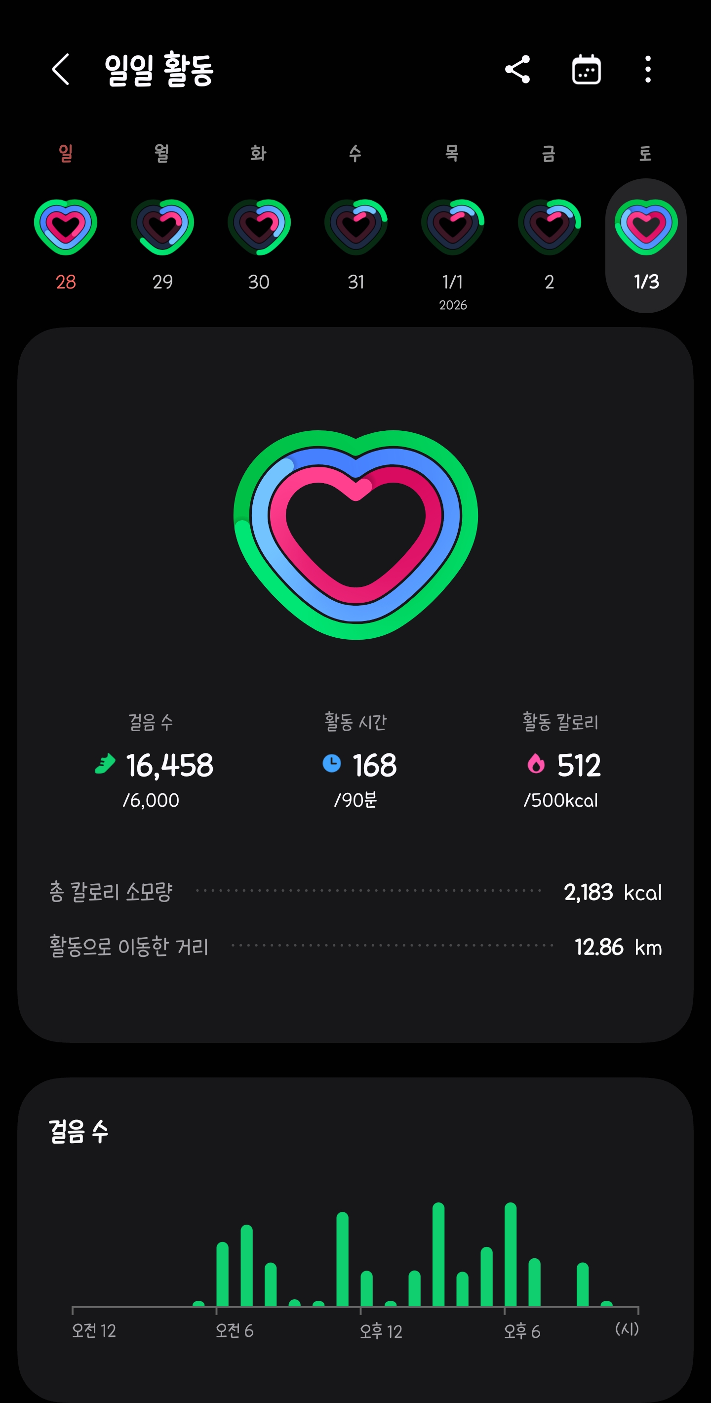 여행기간동안 걸음수