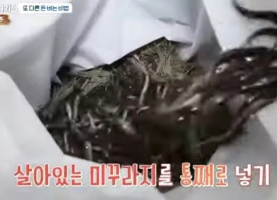 토종미꾸리즙만들기