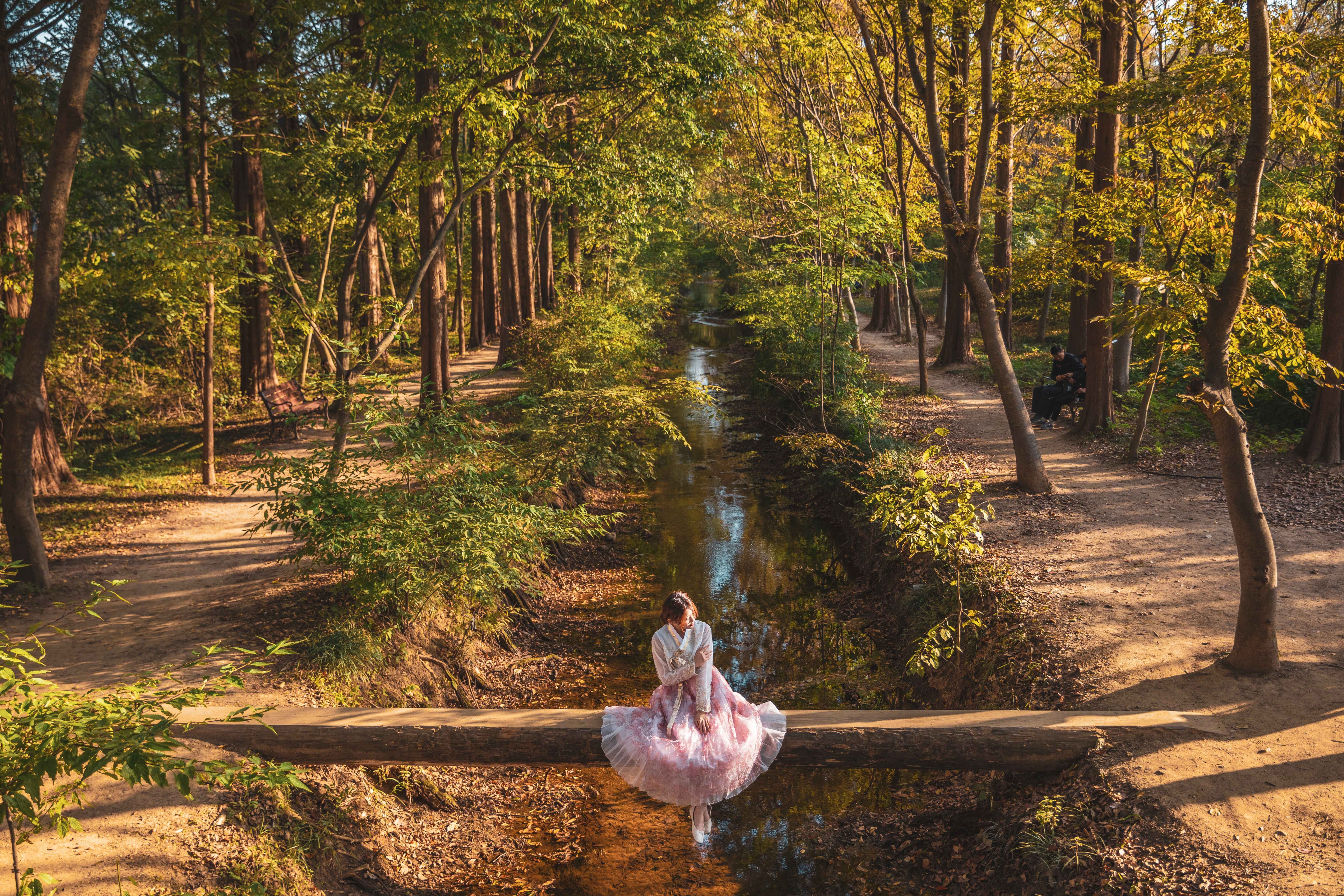 경북천년숲정원
