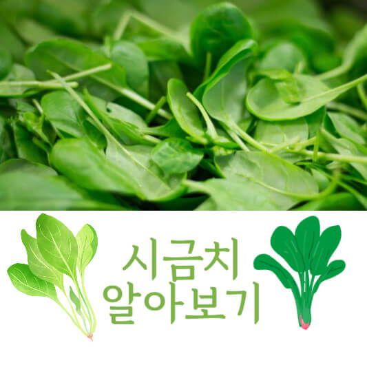 시금치
