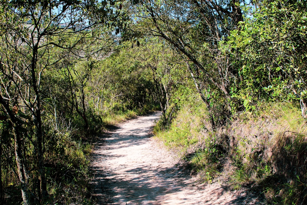 Trail. The site is commonly referred to in English as the Handam Coastal Trail.