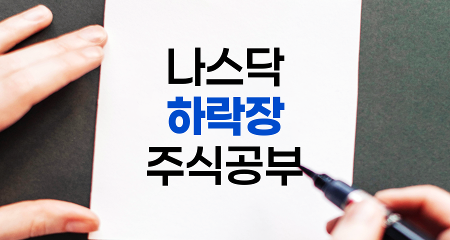 나스닥 하락장 속 해외주식 공부법