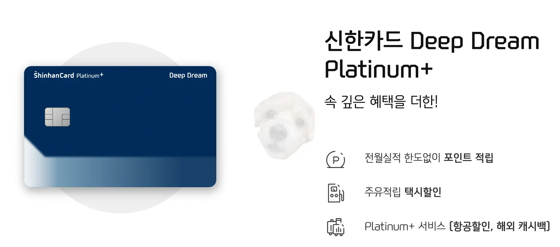 해외여행 항공권 할인카드 신한딥드림 플래티넘