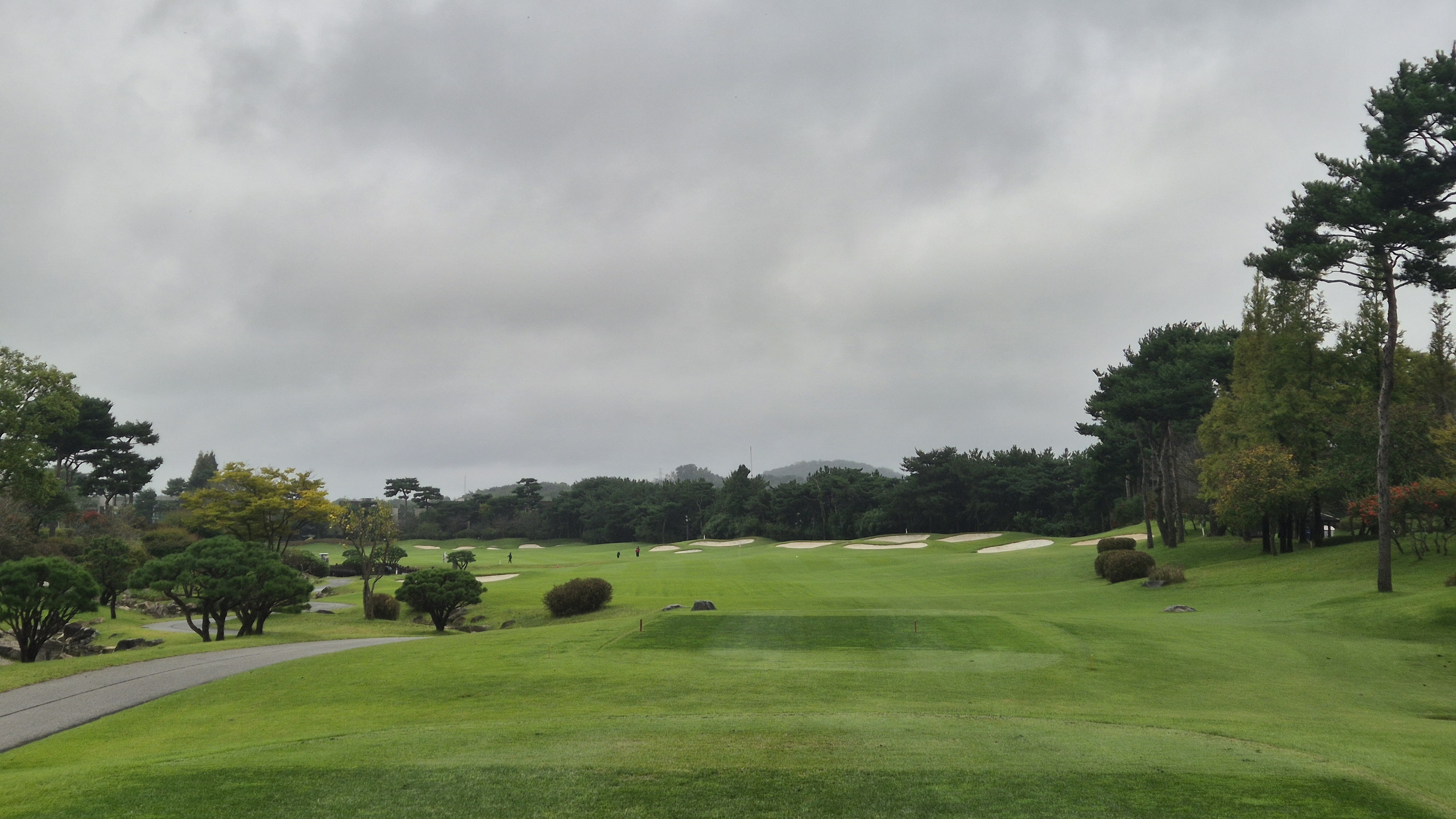 파인스톤cc 스톤 코스