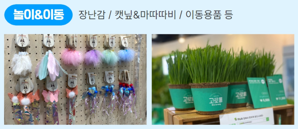 가낳지모 캣페어 summer 세텍 박람회 무료입장 사전등록 방법, 참가업체 2025