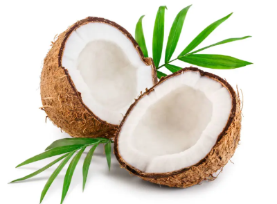 반으로 쪼개진 코코넛 사진