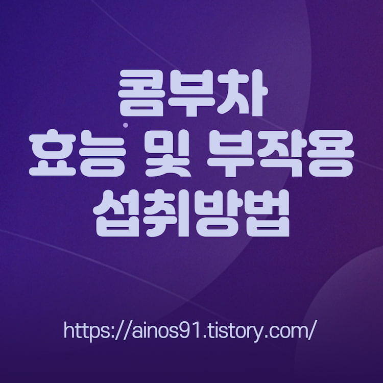 콤부차 효능 및 부작용 섭취방법