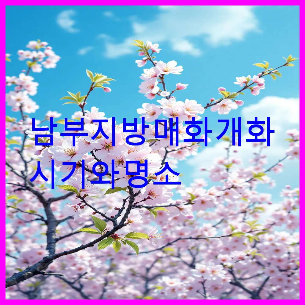 남부지방 매화 개화 시기와 명소