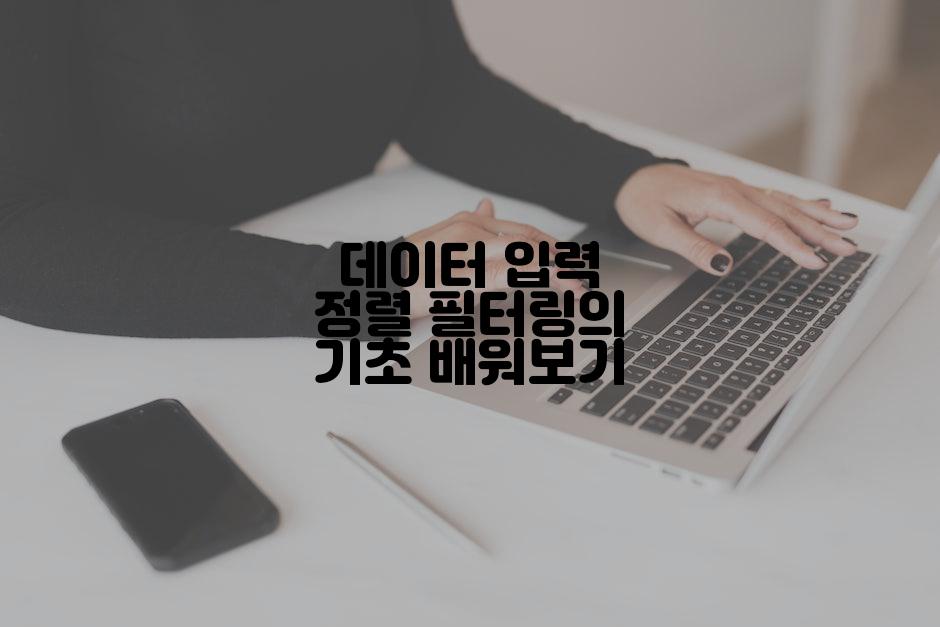 데이터 입력 정렬 필터링의 기초 배워보기
