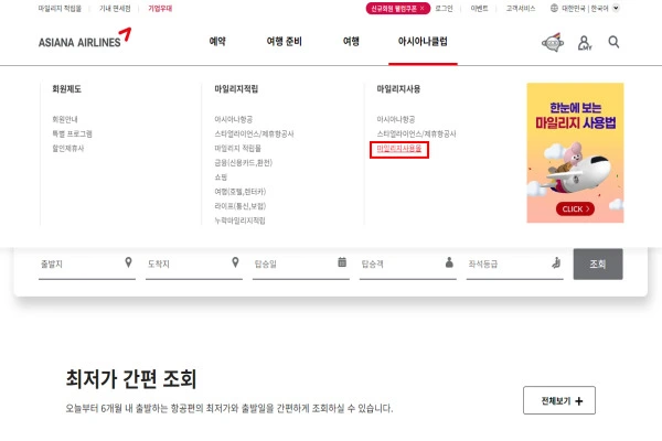 마일리지 항공권