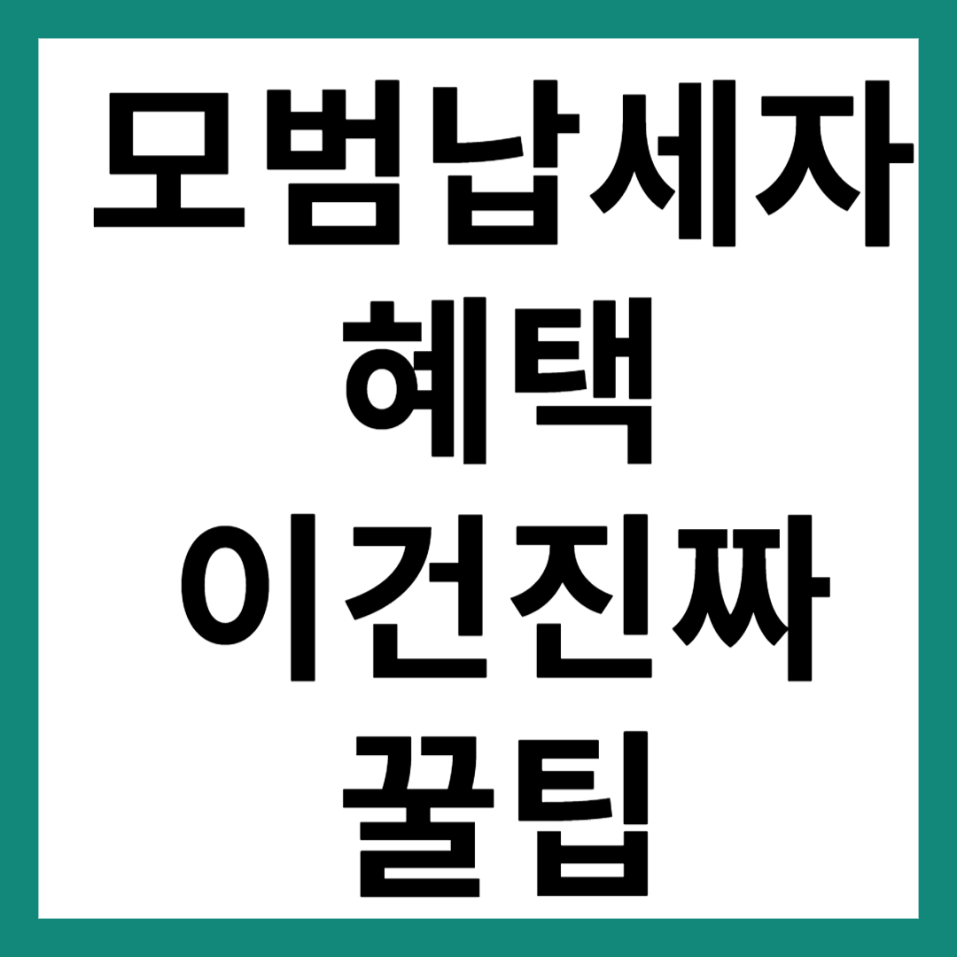 모범납세자 혜택