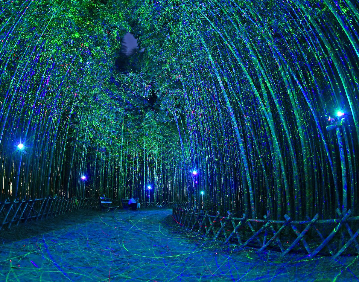 태화강 국가정원 십리대숲