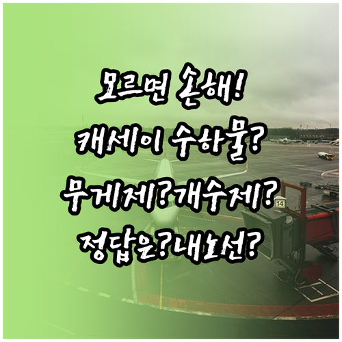 캐세이퍼시픽 위탁수하물, 내 노선은 ..