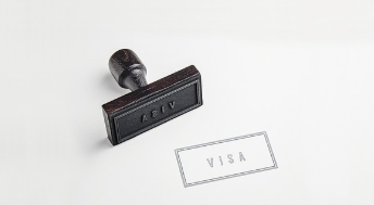 비자 사진