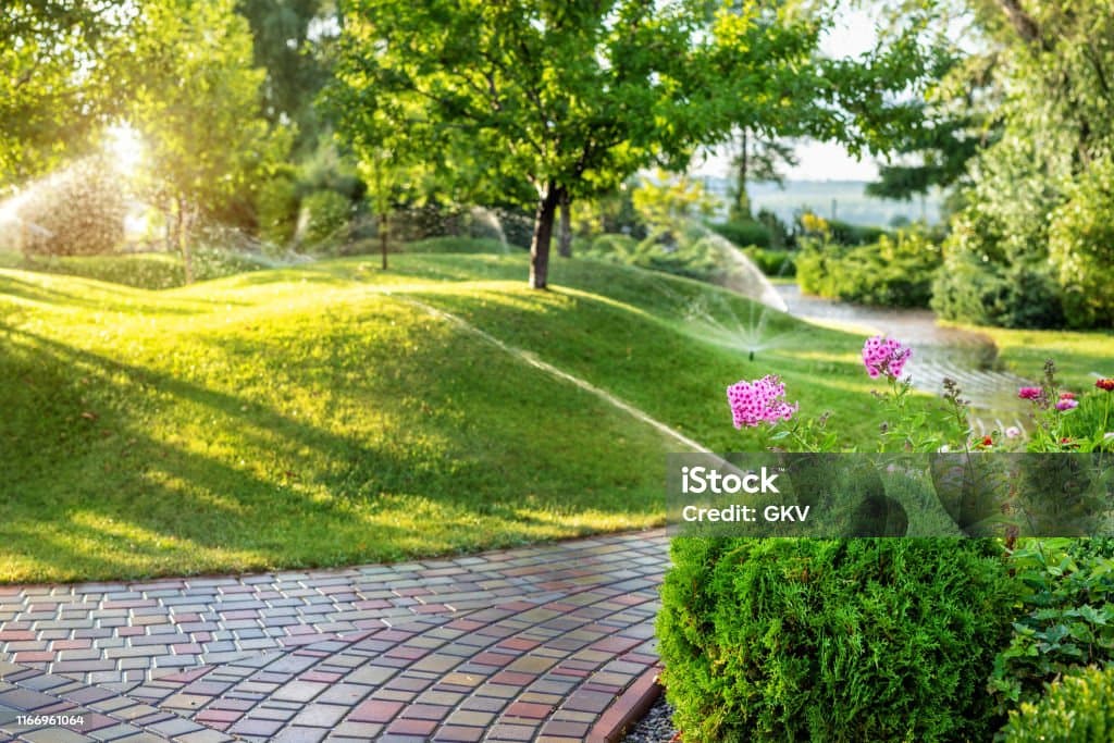 자동 급수 시스템 만들기 – 스마트가드닝으로 식물 관리하는 법