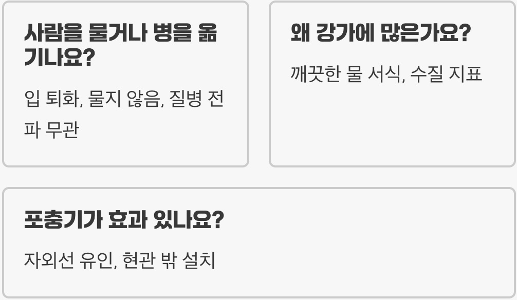 하루살이 떼&amp;#44; 왜 밤만 되면 불빛으로 돌진할까? 그 슬픈 이유와 퇴치법