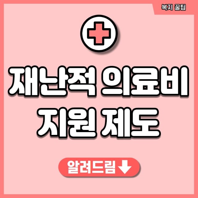 재난적 의료비 지원