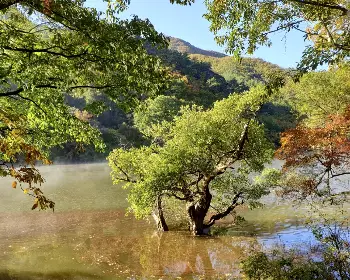주왕산 국립공원 단풍_3