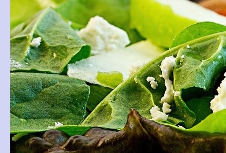 대상포진 치료방법