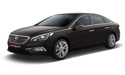 lf 쏘나타 색상코드 - 다크 호스(색상코드 : NN7)