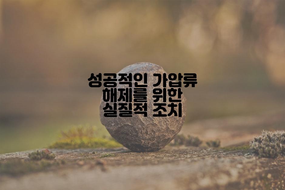 성공적인 가압류 해제를 위한 실질적 조치