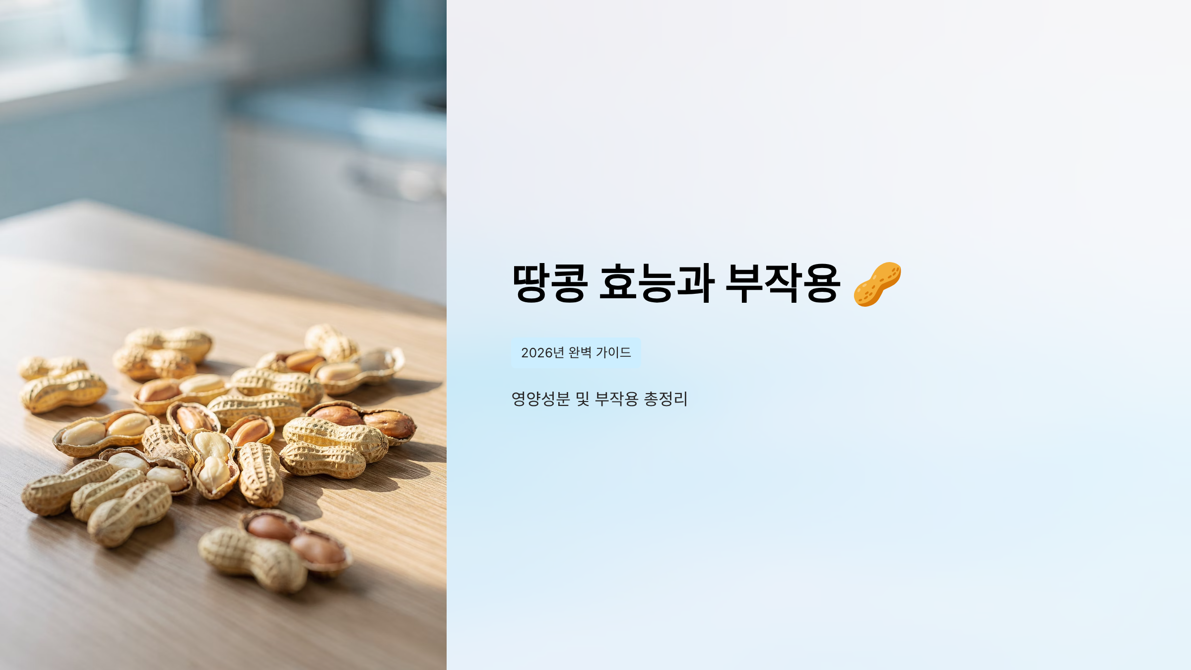 땅콩 효능과 부작용 - 2026년 완벽 가이드 영양성분 및 부작용 총정리