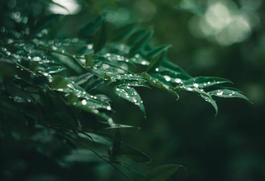 2025 장마 기간, 지역별 예상 일정