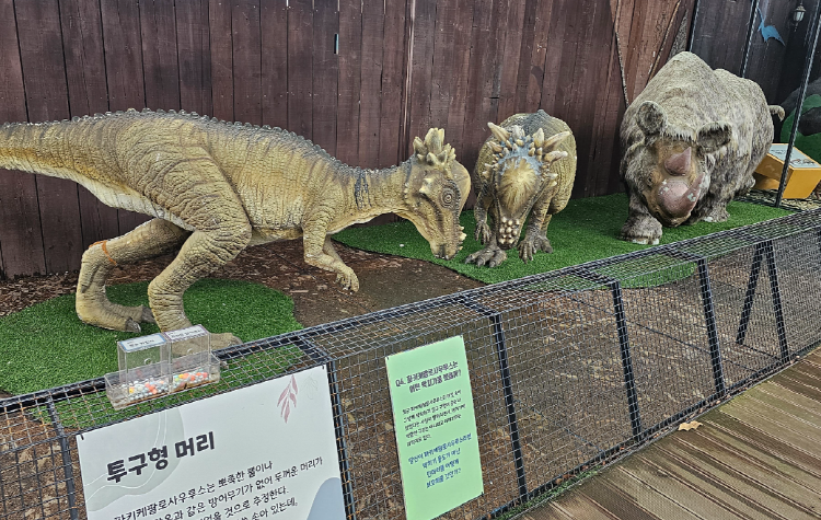 우석헌 자연사박물관