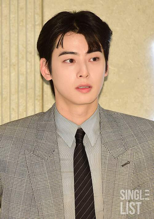 차은우 조세심판 청구 이유: 국세청 130억 세금 완납, 연예인 1인 기획사 실질과세 쟁점 정밀 분석