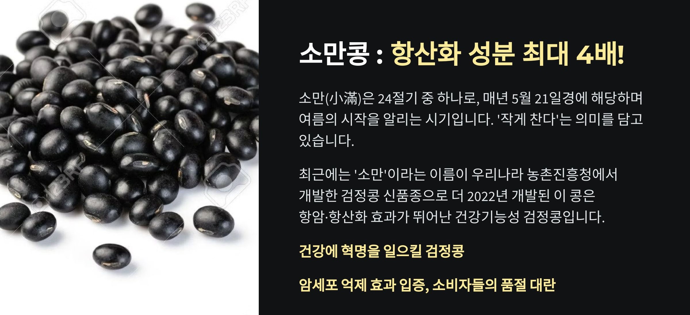 소만콩