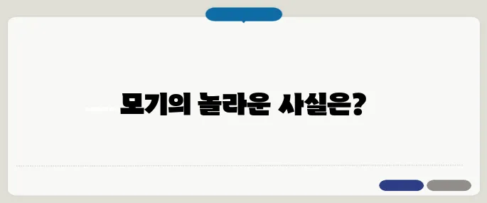 모기 수명 짧지만 전염력은 강력합니다