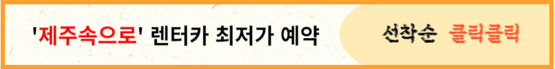 제주도 렌터카 최저가