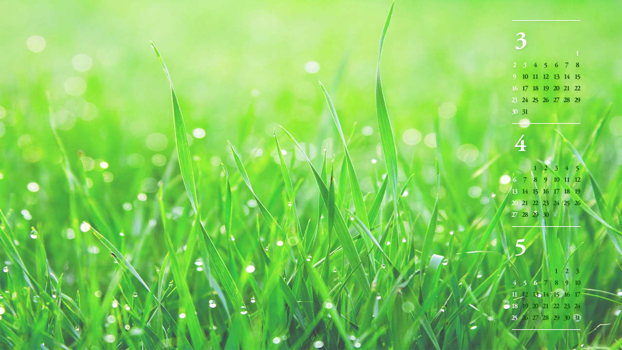 02 풀밭에 내리는 봄비 B - 2025년4월 노트북배경화면