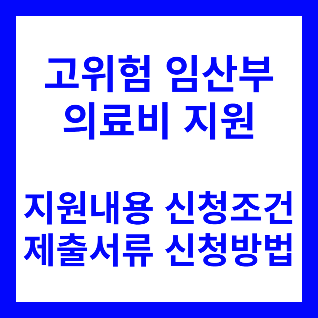 고위험 임산부 의료비 지원