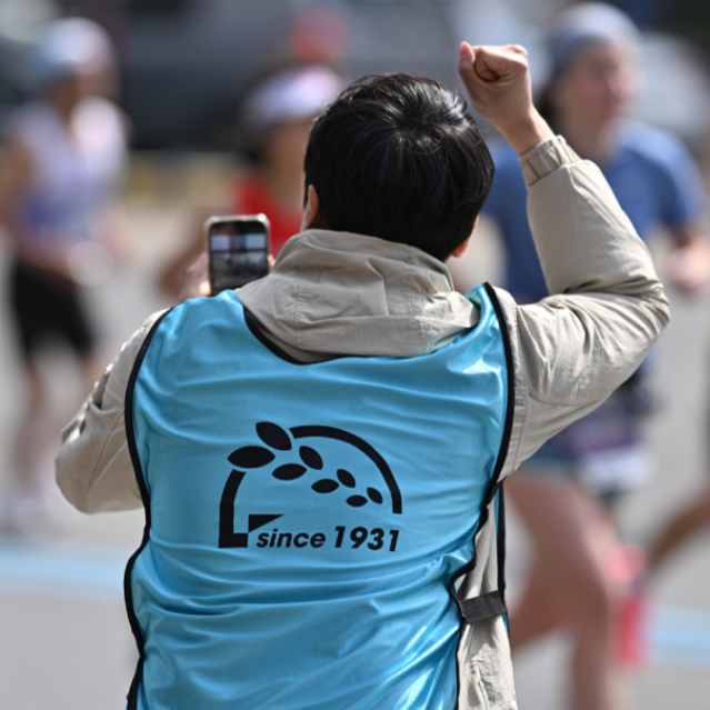 2025 서울마라톤 겸 제95회 동아마라톤 – 일정, 접수 방법, 코스 총정리