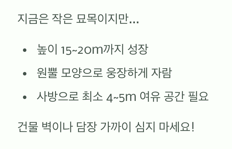 비결 2: 훗날을 생각하는 지혜, 충분한 공간