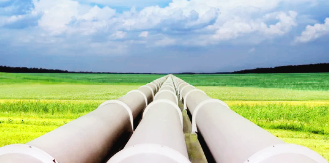 직장인 파이프라인 구축: 경제적 자유를 향한 현실적인 전략