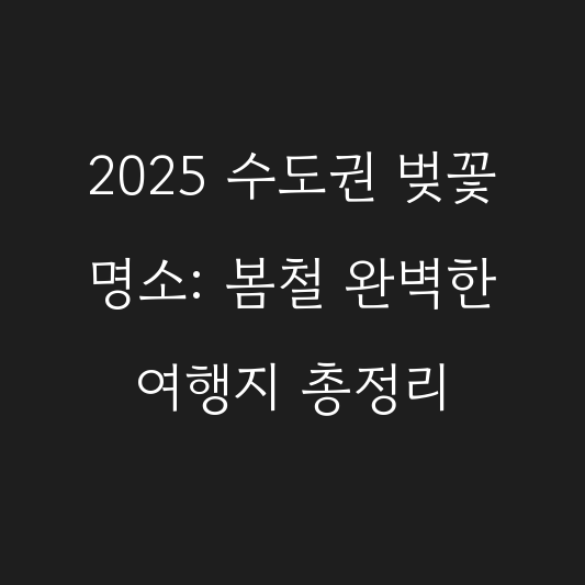 2025 수도권 벚꽃 명소: 봄철 완벽한 여행지 총정리 대표 이미지