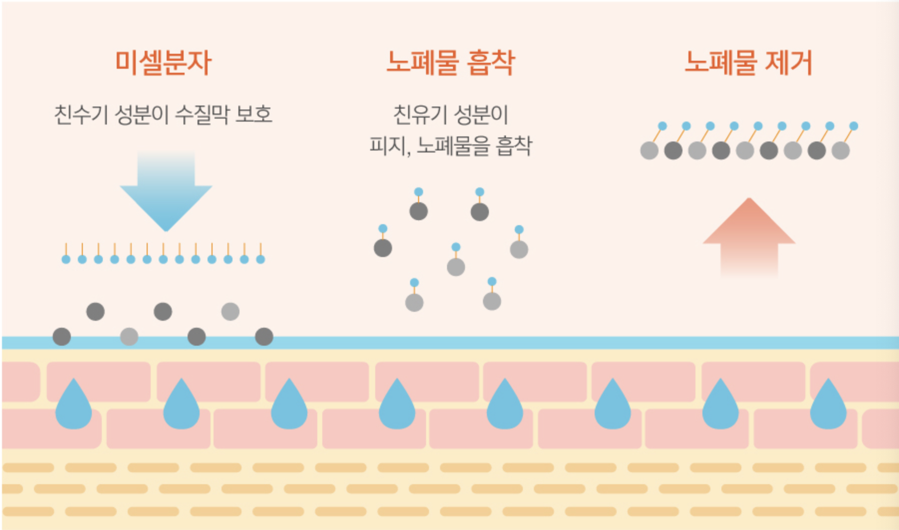 미셀라의 설명