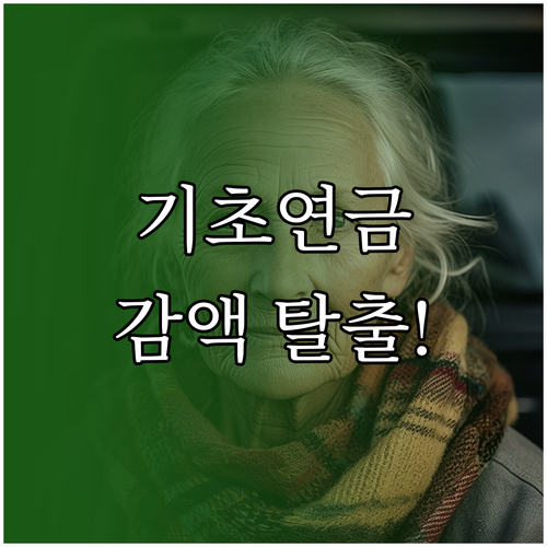 국민연금 수령자가 기초연금 감액 피하..