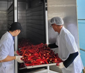 저온제습건조기