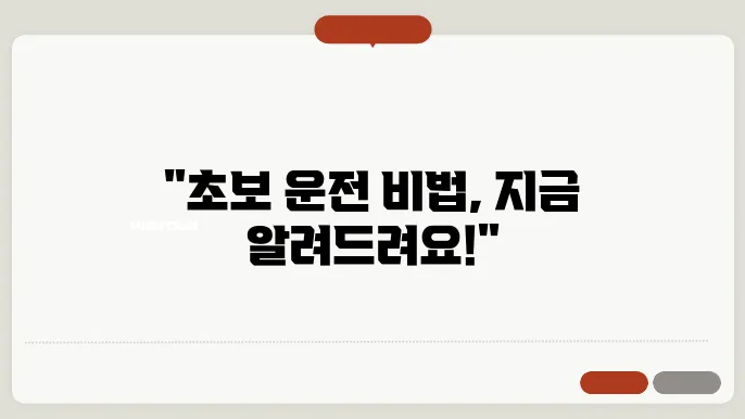 초보 운전 필수 꿀팁