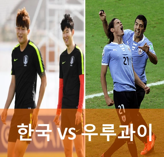 한국 우루과이 카타르 월드컵